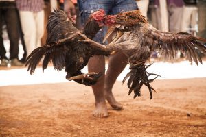 033_AFP_PHOTO_uxga