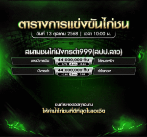 โปรแกรมไก่ชน วันที่ 13 ตุลาคม 2025 สนามชนไก่มังกรดำ999(สปป.ลาว)
