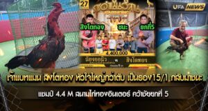 เจ้าแบทแมน สิงโตทอง หัวใจใหญ่กว่าตับ เป็นรอง 15/1 กลับมาชนะ